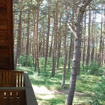 Edmundas Palanga